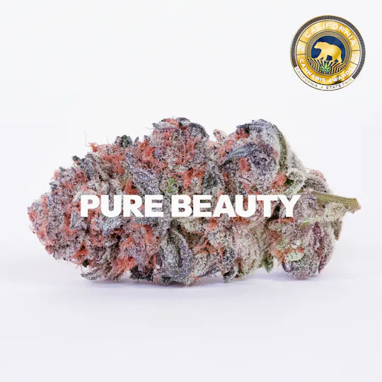 Pure Beauty - Gush Mints (1:1 CBD) | 14.17g Indoor - 1