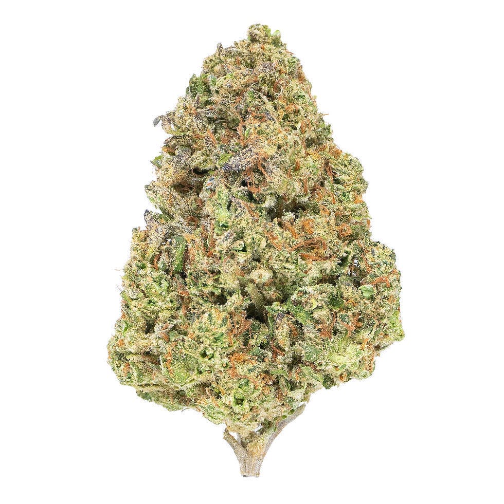 Burr's Place - Burr's Place | Zookie Doodles | Flower | 3.5g - 1
