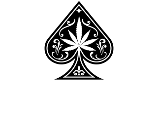BLACK JACK - Blackjack | Gush Mints | Flower - 1