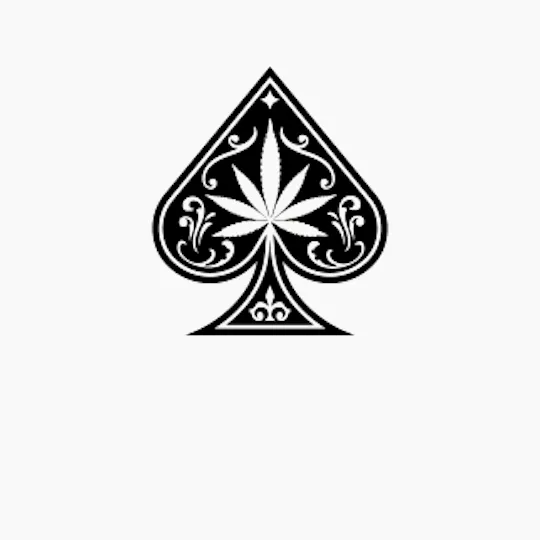 BLACK JACK - Blackjack | Gush Mints | Flower - 1