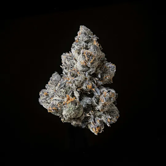 Sticky Status - Sticky Status | Cherry Pie | Big Buds | 3.5g - 1