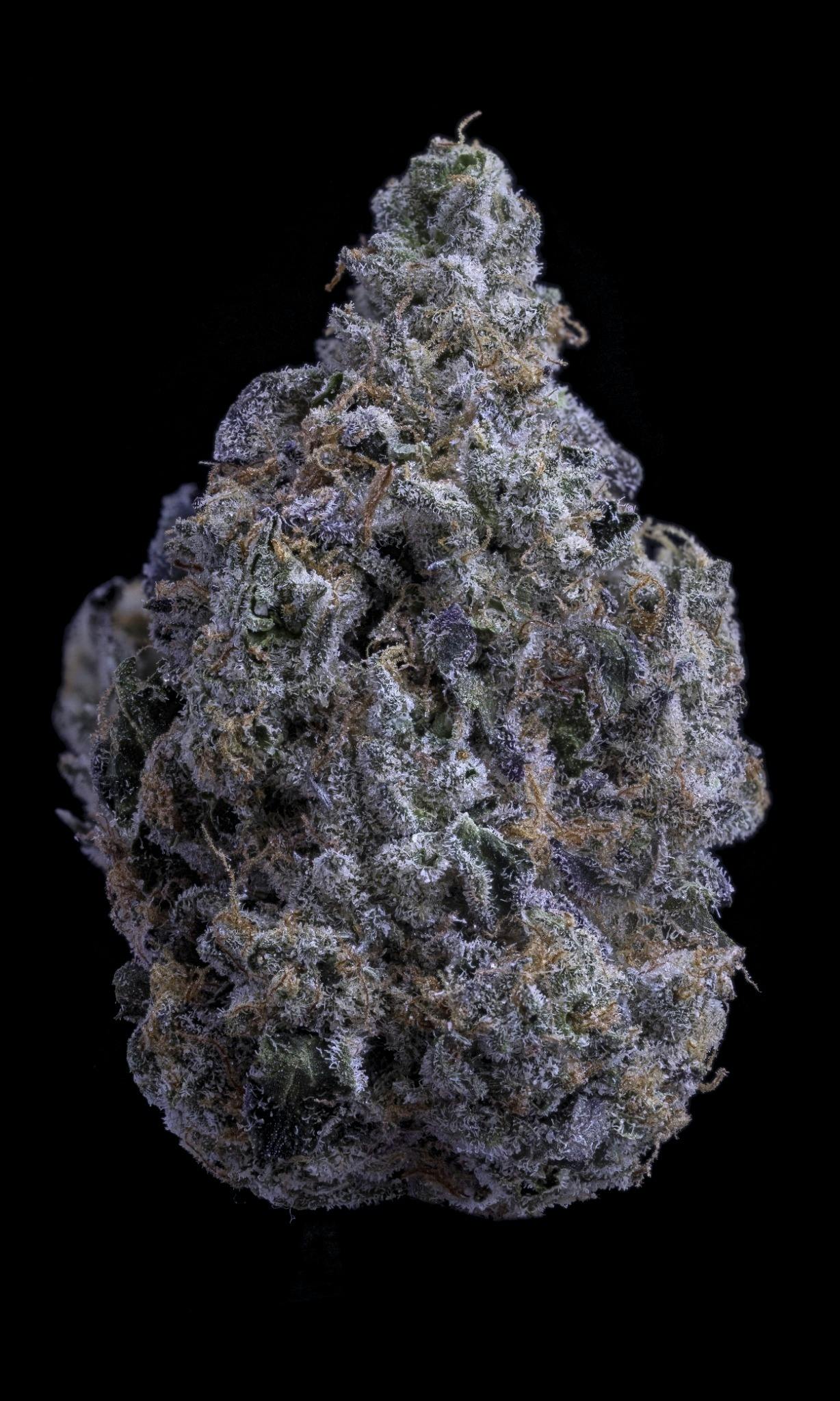 Sticky Status - LA Beast - Flower 3.5g Jar - 1