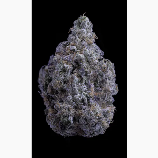 Sticky Status - LA Beast - Flower 3.5g Jar - 1