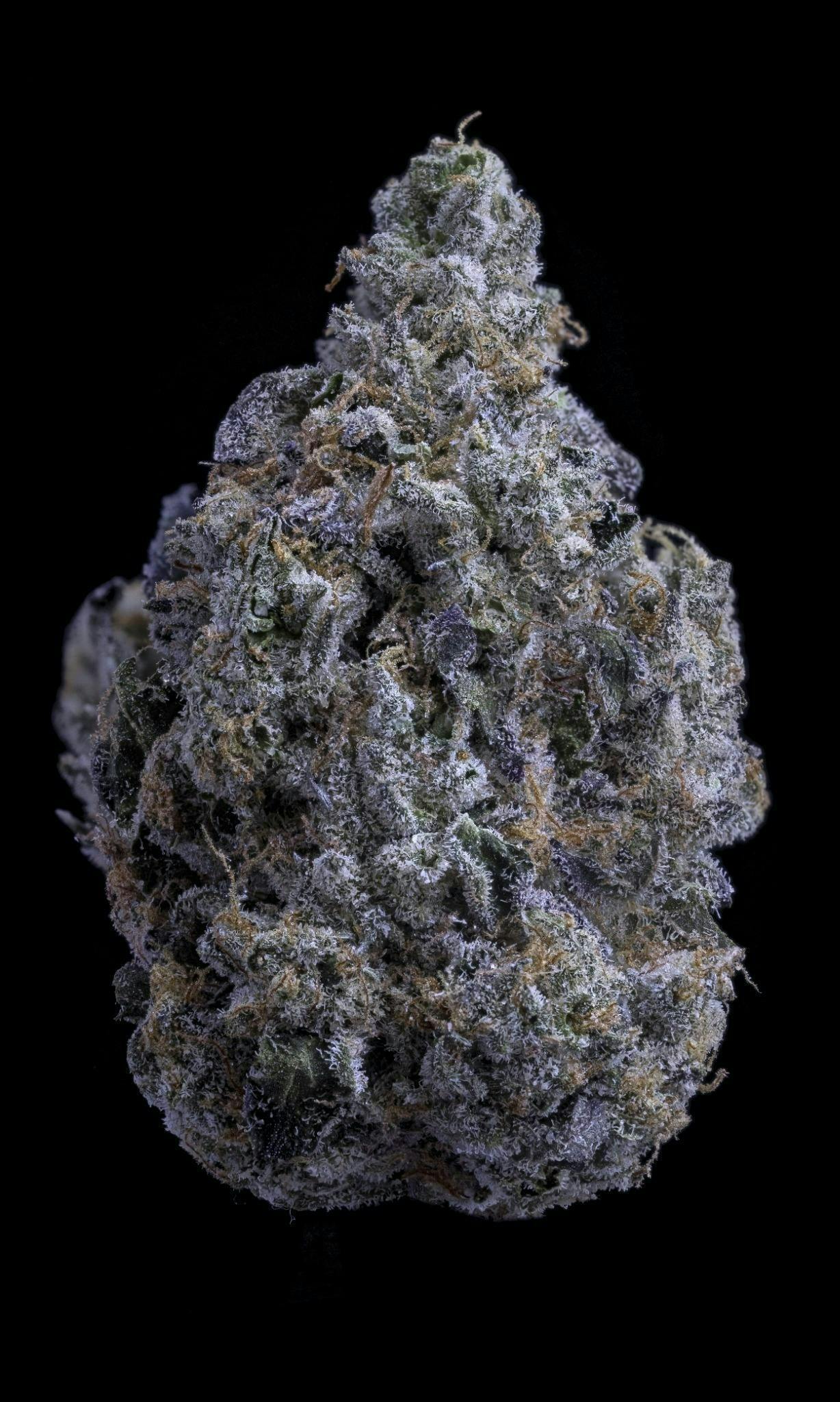 Sticky Status - Sticky Status | LA Beast | Big Buds | 3.5g - 1
