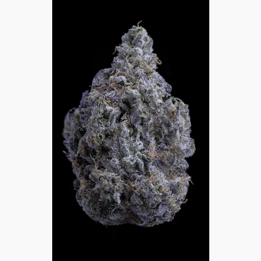 Sticky Status - Sticky Status | LA Beast | Big Buds | 3.5g - 1