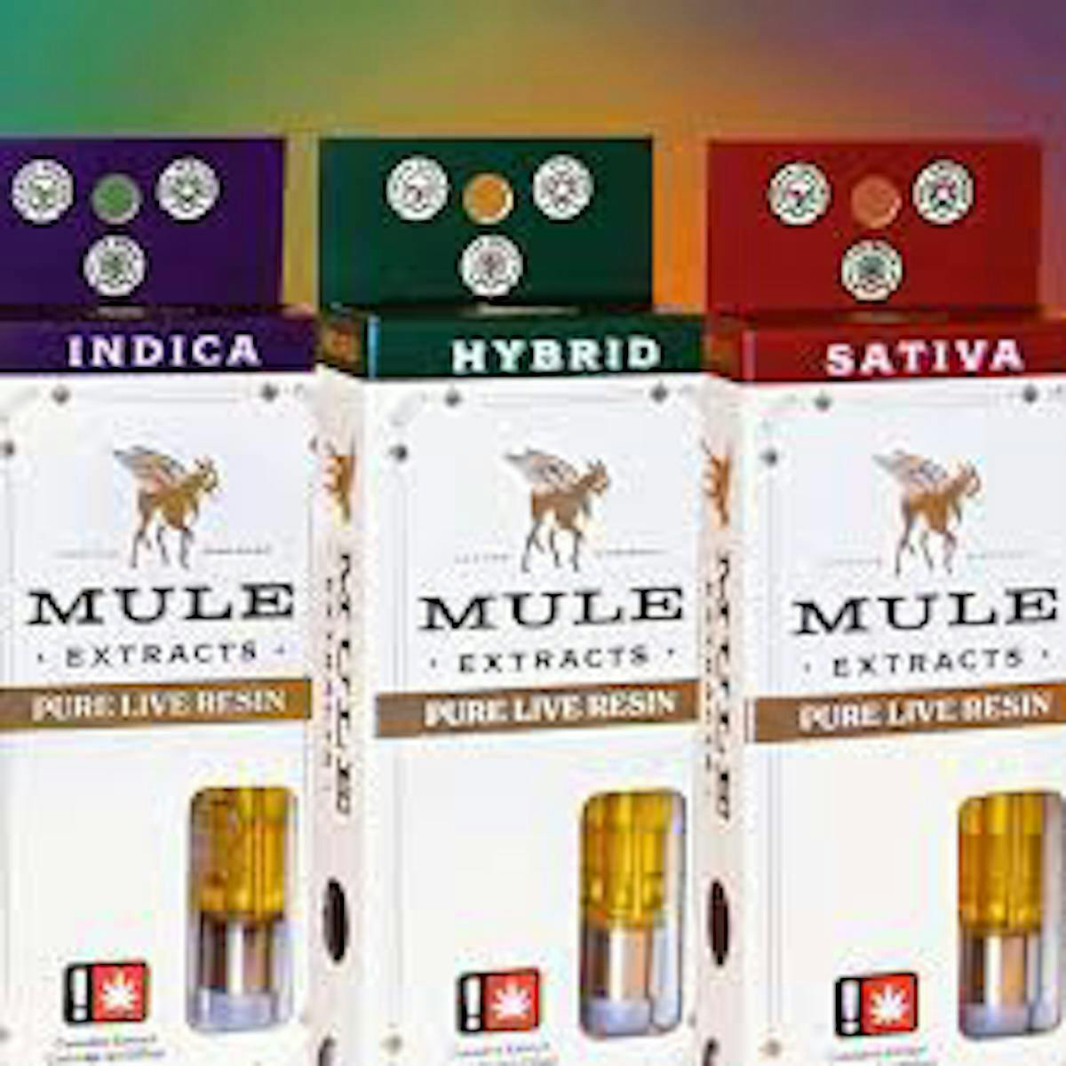 Mule Extracts - Mule Extracts | 9LB Hammer | Live Resin Glass Cartridge | 1g - 1