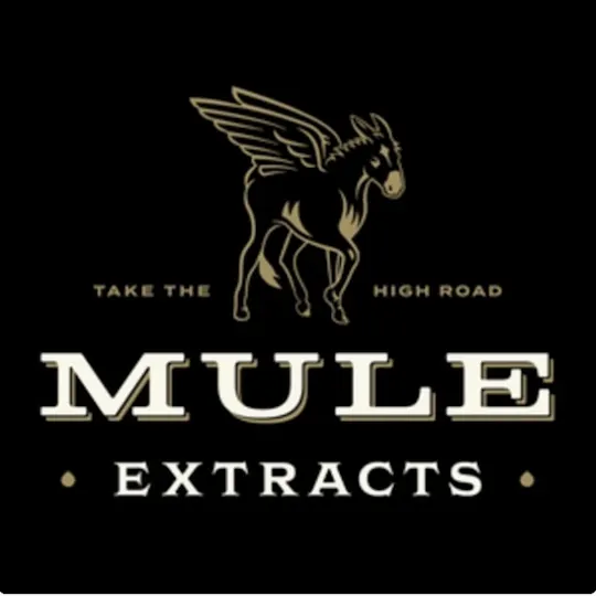 Mule Extracts - Mule Extracts | Dreamberry (Dream) | FXT Disposable | 2g - 1