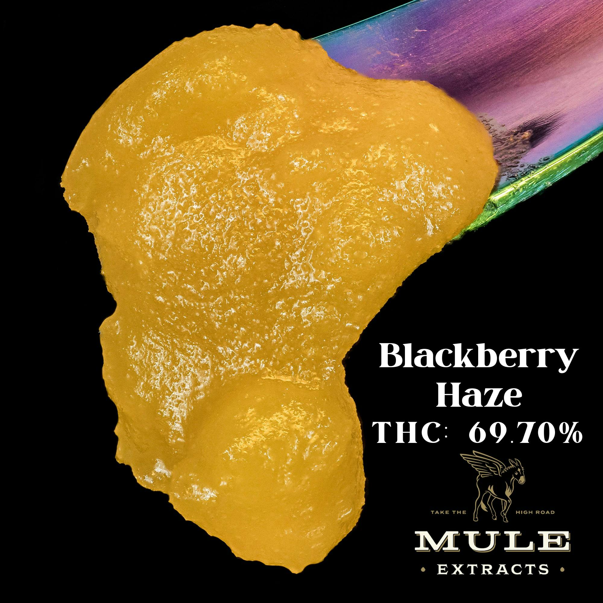 Mule Extracts - Mule Extracts | Blackberry Haze | Live Resin Badder | 2g - 1