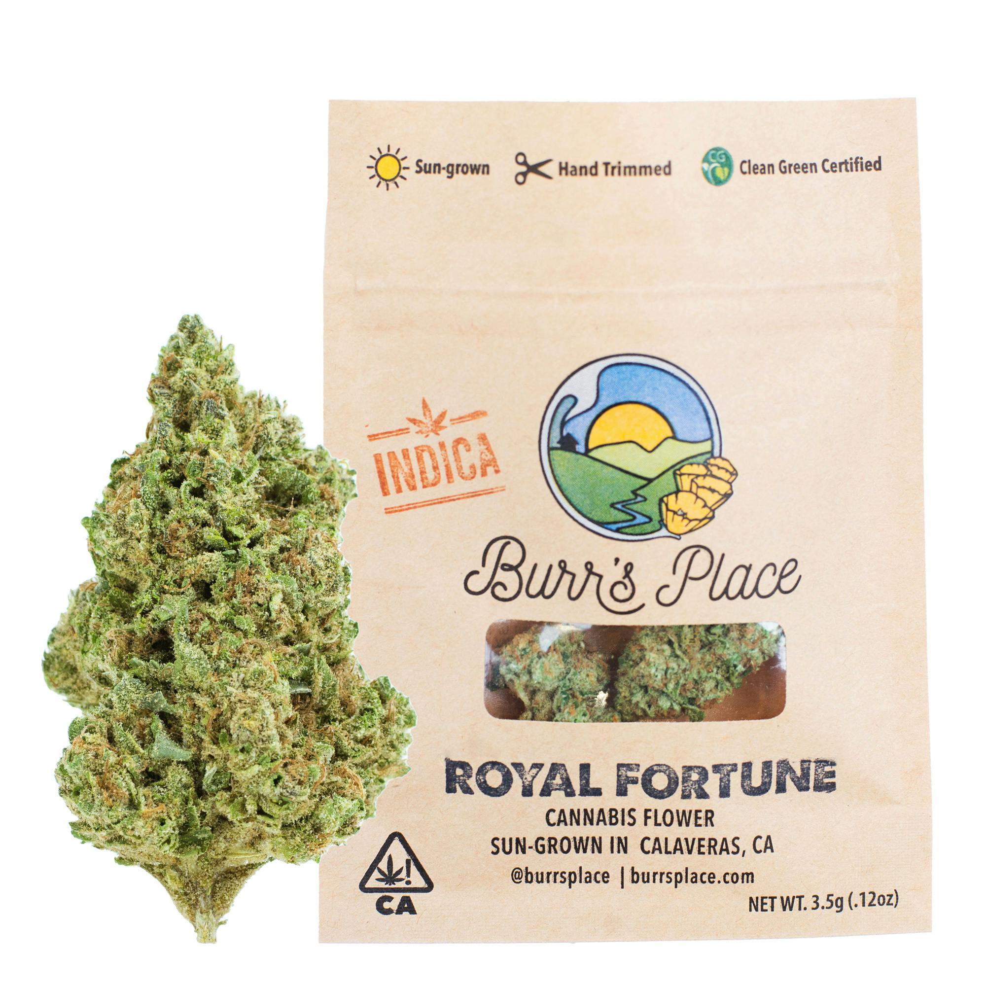Burr's Place - Burr's Place | Royal Fortune | Flower | 3.5g - 1