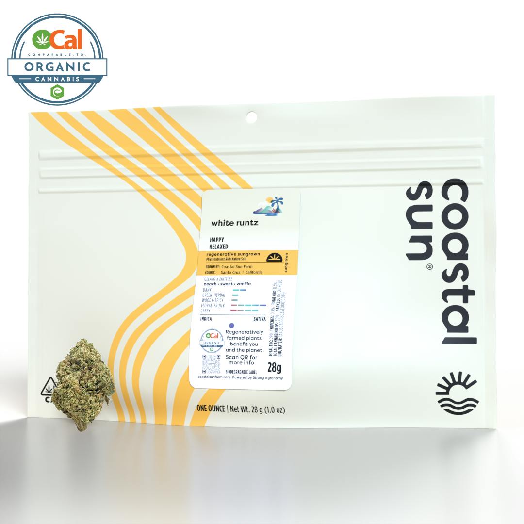 Coastal Sun - White Runtz Sungrown Flower 28g - 1