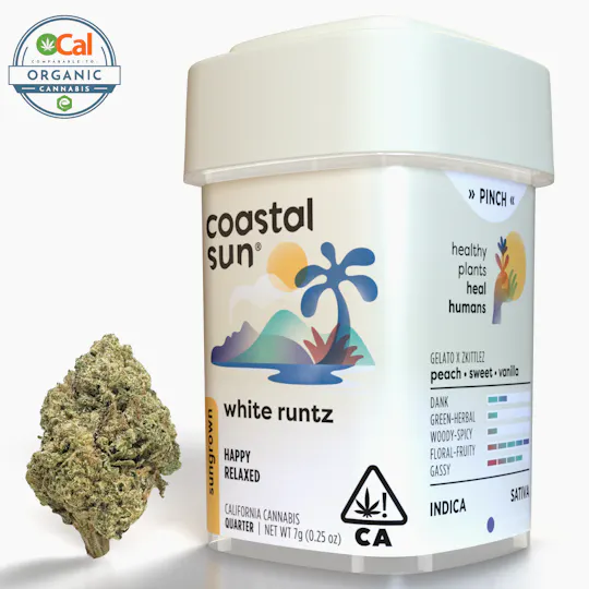 Coastal Sun - White Runtz Sungrown Flower 7g - 1