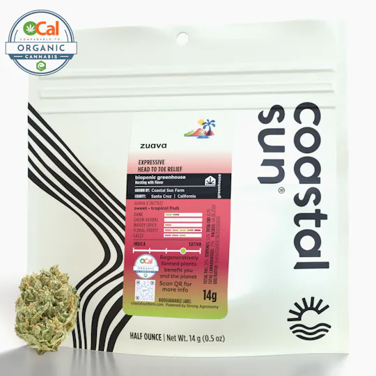 Coastal Sun - Zuava Greenhouse Flower 14g - 1