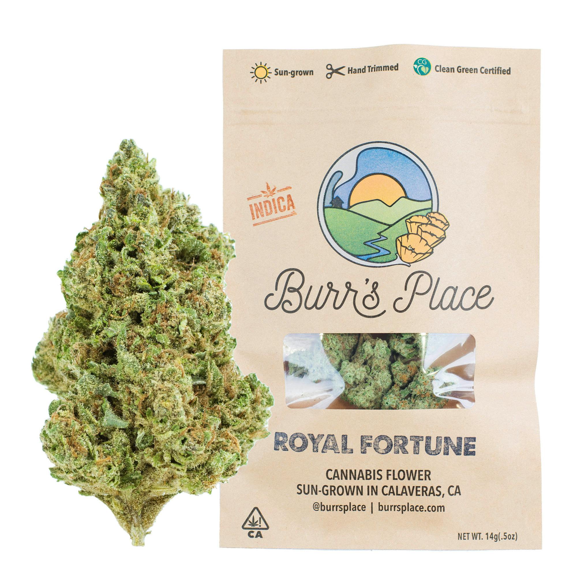 Burr's Place - Burr's Place | Royal Fortune | Flower | 14g - 1