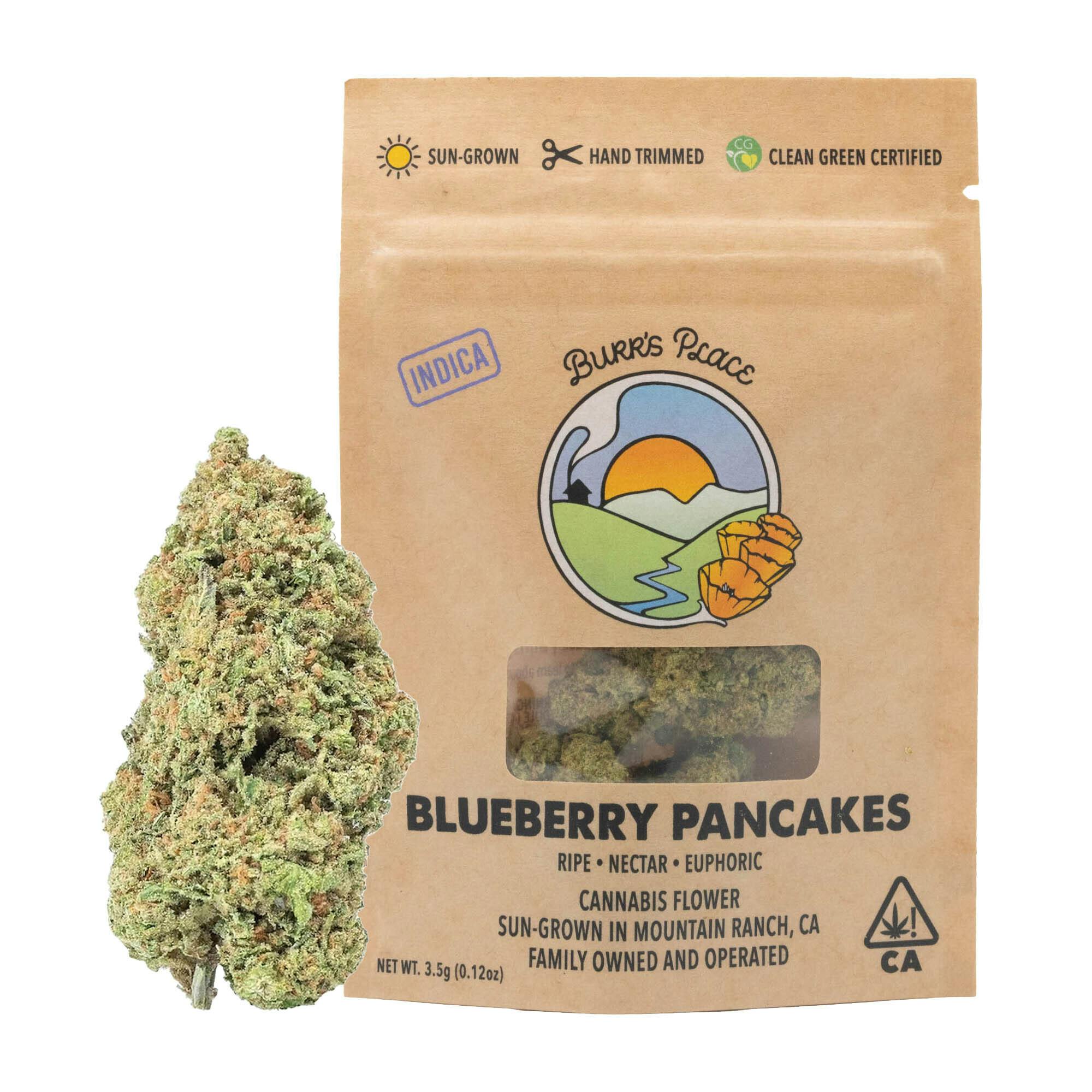 Burr's Place - Blueberry Pancakes | Big Buds | 3.5g - 1