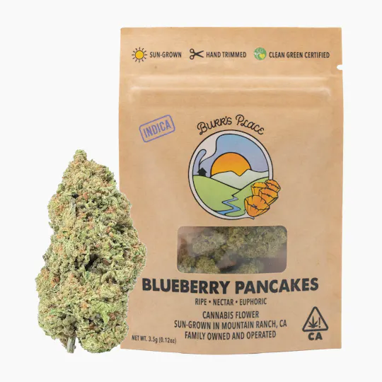 Burr's Place - Blueberry Pancakes | Big Buds | 3.5g - 1