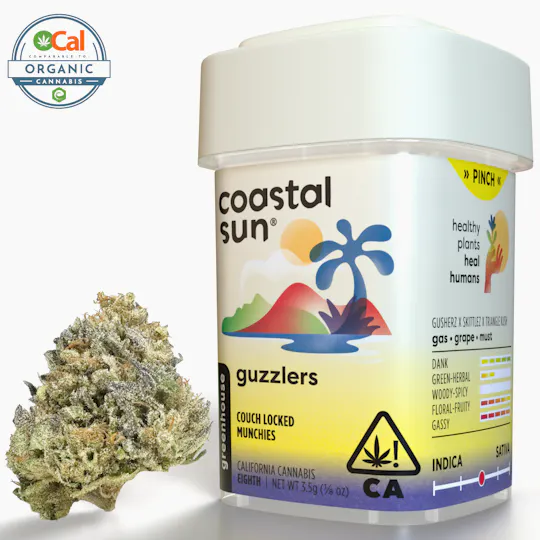 Coastal Sun - Guzzlers Greenhouse Flower 3.5g - 1