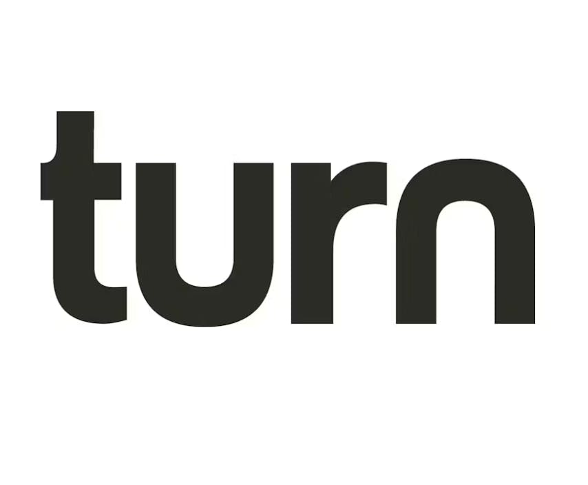 turn - turn | Wild Fruit Blends | Disposable | 2g - 1