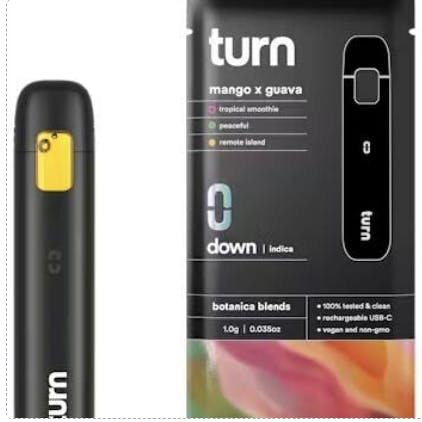 turn - turn | Mango x Guava | Disposable | 1g - 1