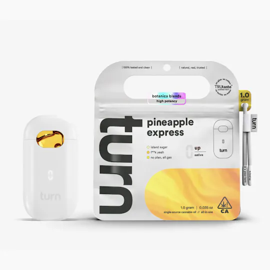 turn - turn | Pineapple Express | Disposable | 1g - 1