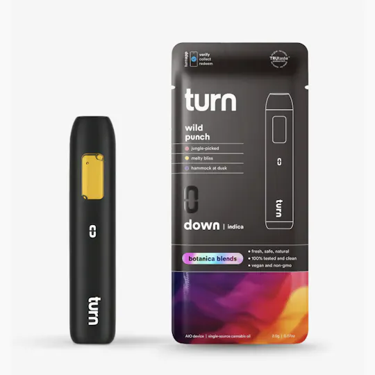 turn - turn | Wild Fruit Punch | Disposable | 2g - 1