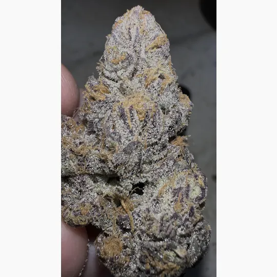 Oklahoma Outlawz - Oklahoma Outlawz | D-Lish | Big Buds | 28g - 1