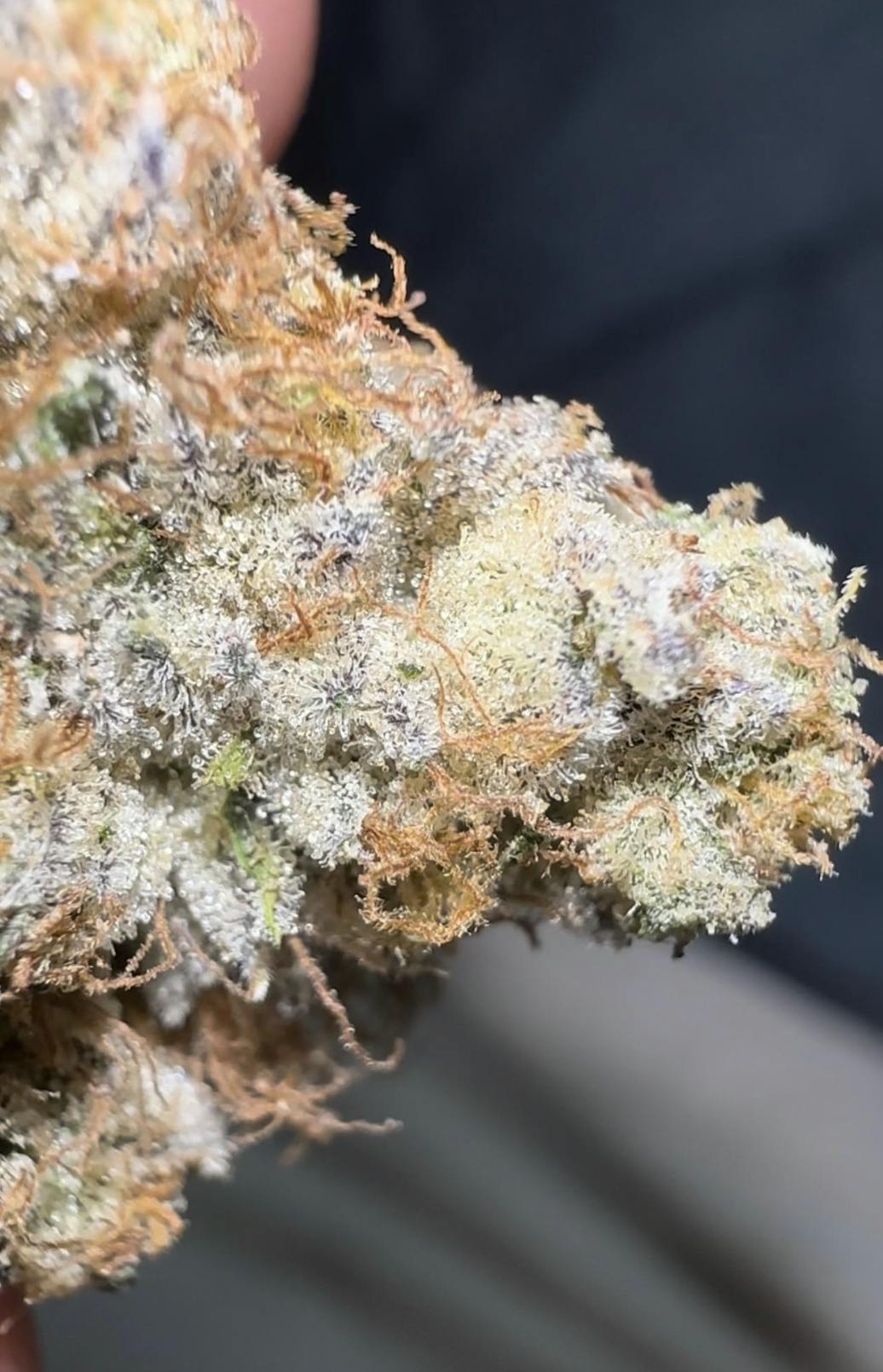 Oklahoma Outlawz - Oklahoma Outlawz | Trill Spill | Big Buds | 3.5g - 1