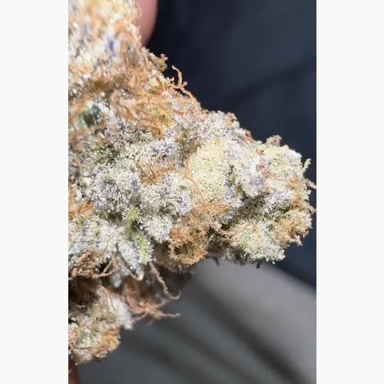 Oklahoma Outlawz - Oklahoma Outlawz | Trill Spill | Big Buds | 3.5g - 1