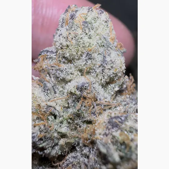 Oklahoma Outlawz - Oklahoma Outlawz | Outlaw Runtz | Big Buds | 28g - 1