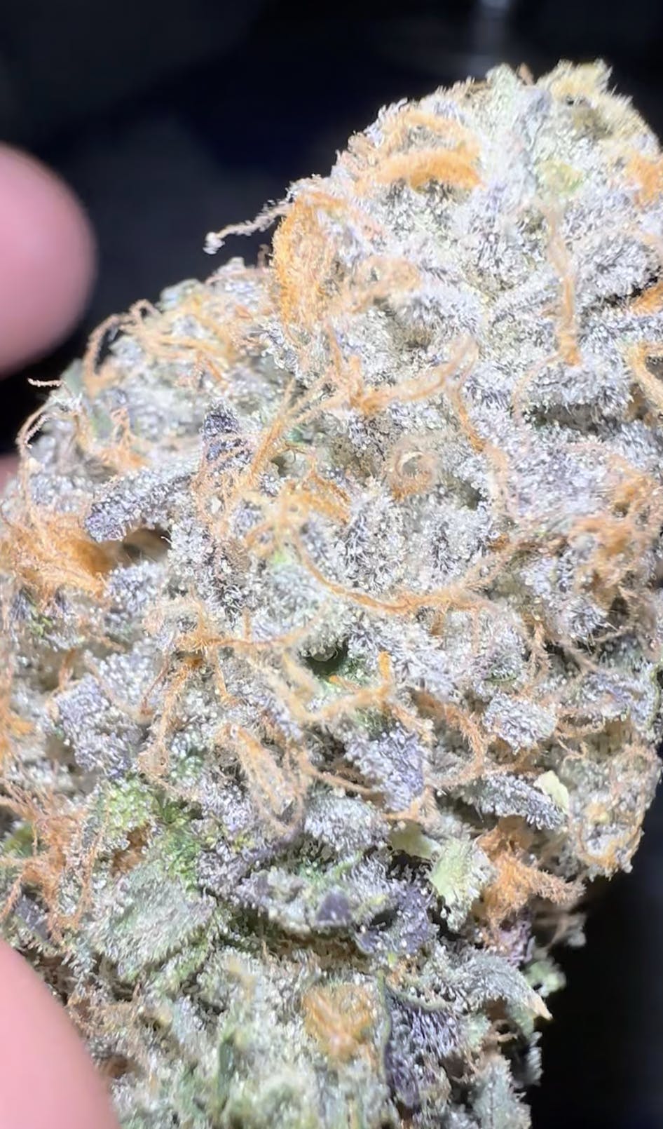 Oklahoma Outlawz - Oklahoma Outlawz | The Original Z | Big Buds | 3.5g - 1