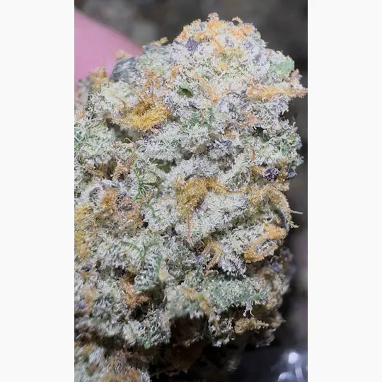 Oklahoma Outlawz - Oklahoma Outlawz | Zoap | Big Buds | 3.5g - 1