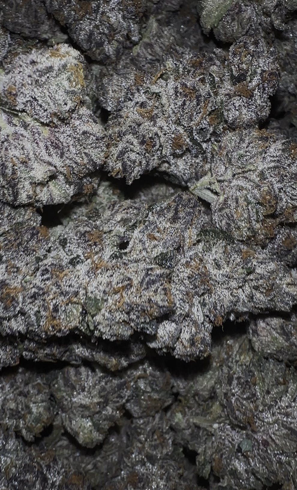 Oklahoma Outlawz - Oklahoma Outlawz | Kimber Slice | Big Buds | 3.5g - 1