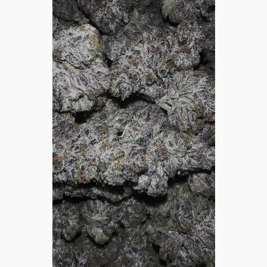 Oklahoma Outlawz - Oklahoma Outlawz | Kimber Slice | Big Buds | 3.5g - 1