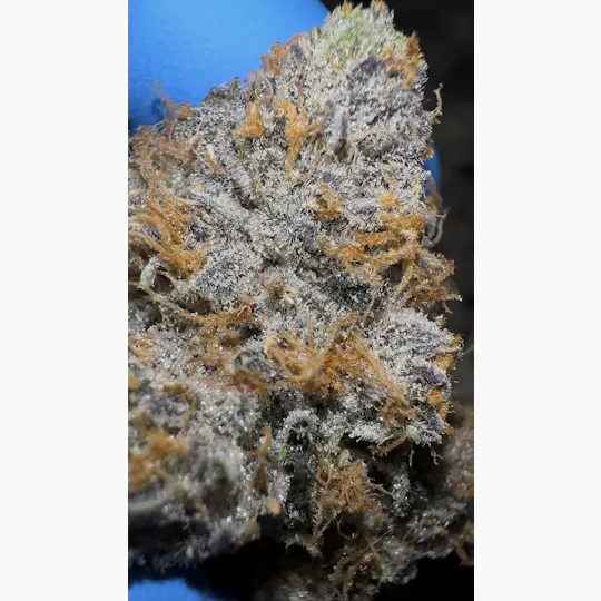 Oklahoma Outlawz - Oklahoma Outlawz | Strawberry Zkittles | Big Buds | 28g - 1