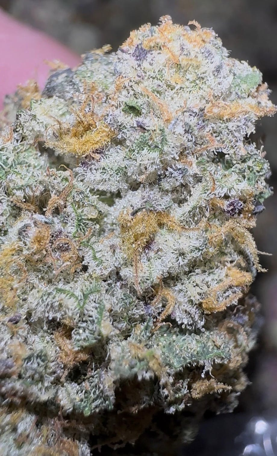Oklahoma Outlawz - Oklahoma Outlawz | Zoap | Big Buds | 28g - 1