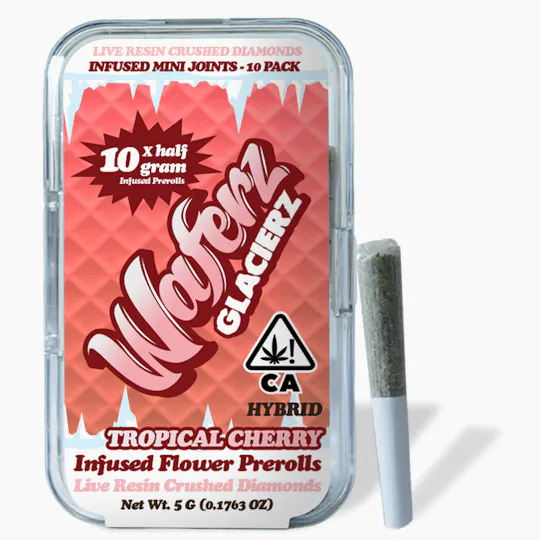 Waferz - Waferz Glacierz Infused Flower Pre-Rolls 10 Pack : Tropical Cherry 5g - 1