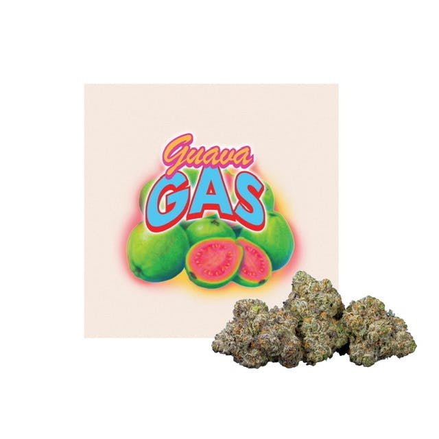 All Seasons - All Seasons | Guava Gas | Big Buds | 3.5g - 1