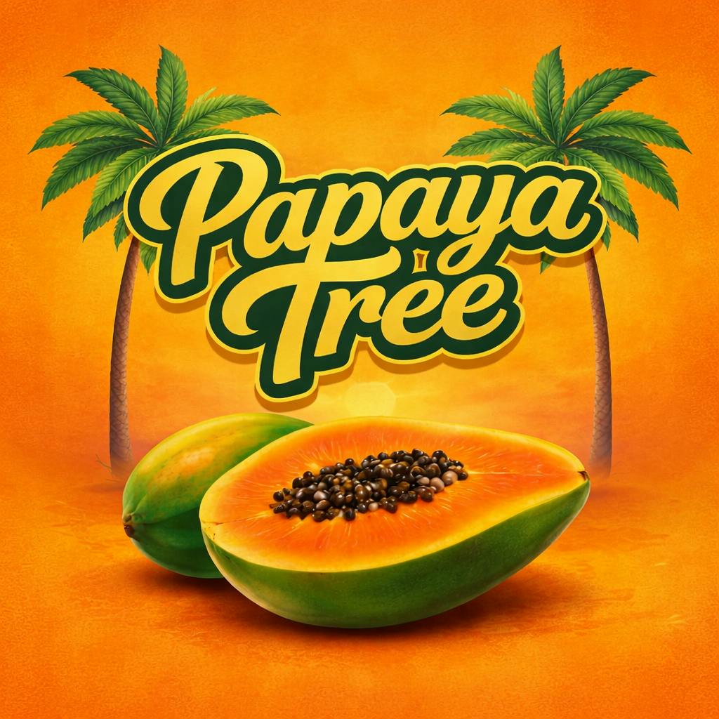 All Seasons - All Seasons | Papaya Tree | Big Buds | 3.5g - 1