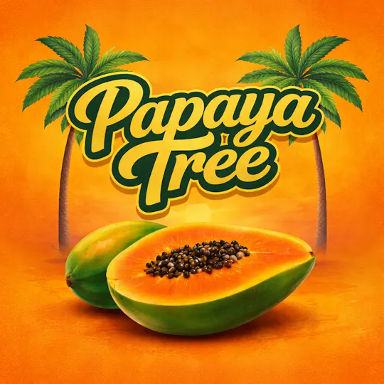 All Seasons - All Seasons | Papaya Tree | Big Buds | 3.5g - 1