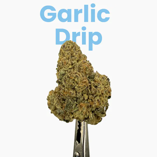 Jive - Jive Garlic Drip 28g - 1