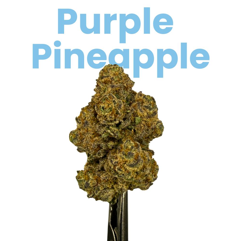 Jive - Jive Purple Pineapple 28g - 1