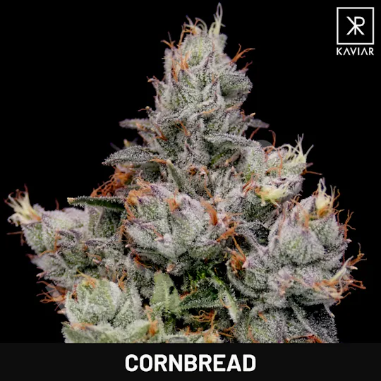 Kaviar - Kaviar | Cornbread | Infused Joints | 0.6g ea | 5pk - 1