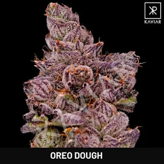 Kaviar - Kaviar | Oreo Dough | Infused Joint | 1.5g - 1