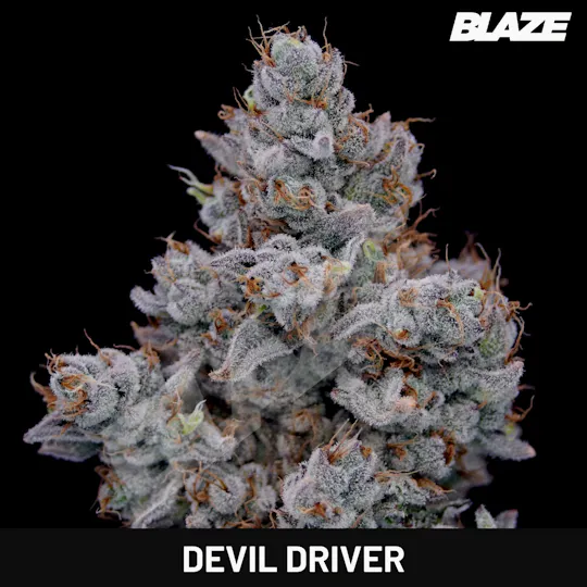 Kaviar - Kaviar | Devil Driver | Infused Joint | 1.5g - 1