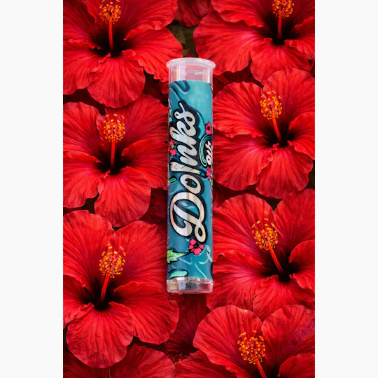Doinks - Doinks | 9th Island Glue | Infused Minis | 0.5g | 1pk - 1
