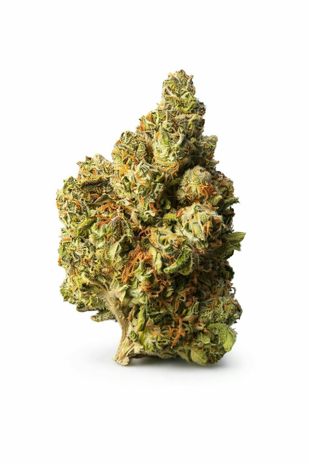 The Memo - The Memo | Johnny Dang | Big Buds | 7g - 1