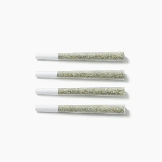The Memo - The Memo | Princess Haze XX | Joint | 1g - 1