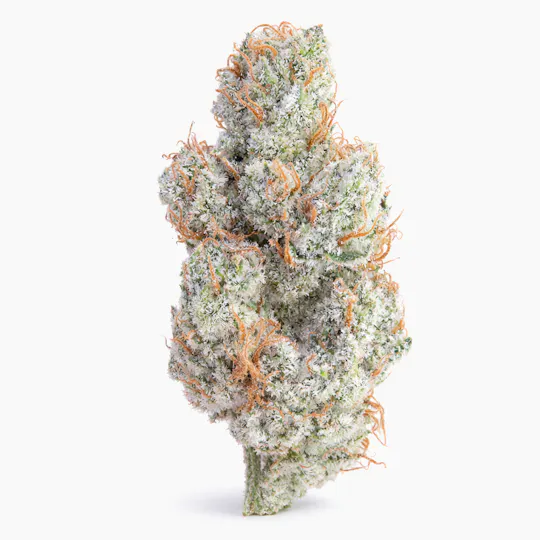 The Mem-O - The Memo | Slurricane - 1