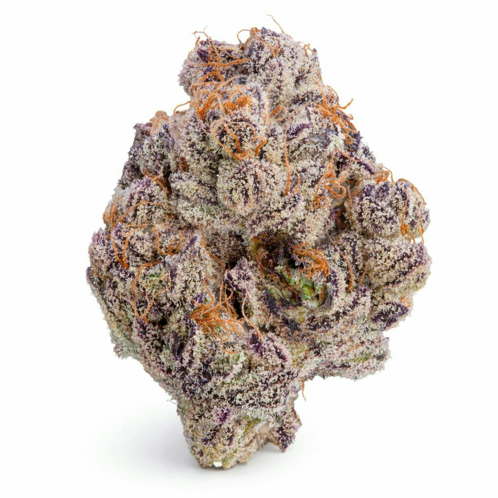 The Memo - The Memo | Black Congolese | Big Buds | 7g - 1