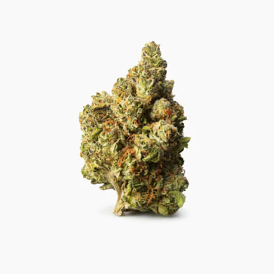 The Memo - The Memo | Master Kush | Big Buds | 3.5g - 1