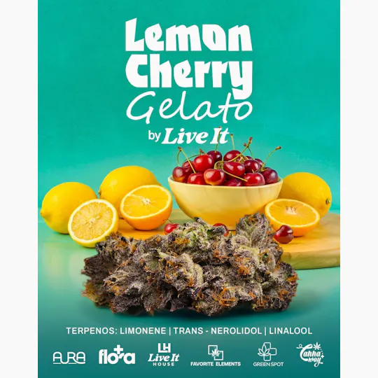 Live It - LIVE IT | LEMON CHERRY GELATO | BIG BUDS - 1
